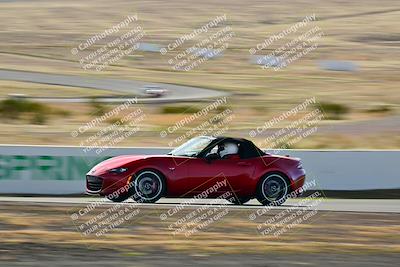 media/Mar-22-2025-West Coast Racing (Sat) [[0d49b412c8]]/Yellow Group/Session 1 (Turn 4-Exterior)/